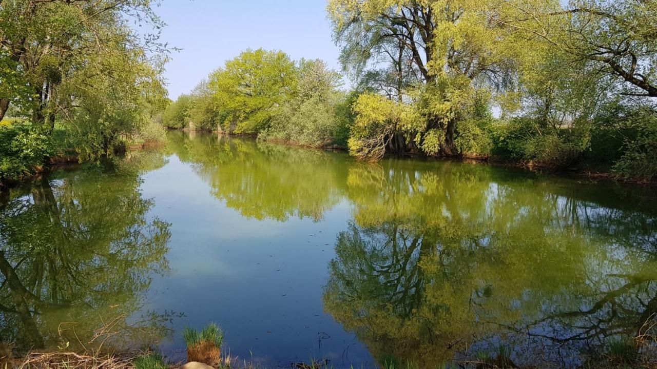 شقة Haus Blumenfeld-Schwaiger Übersee المظهر الخارجي الصورة